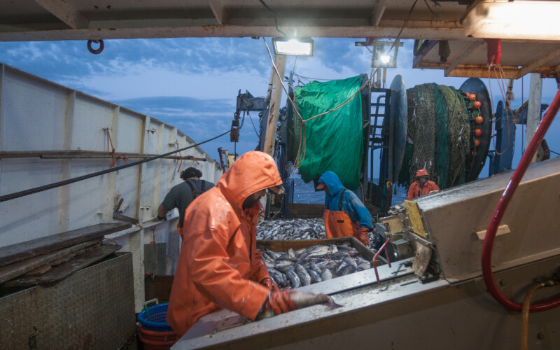 Canada, U.S. fail to reach agreement on quota for shared haddock stock